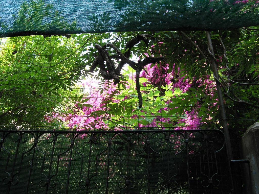 B&B Malennio Lecce Bagian luar foto